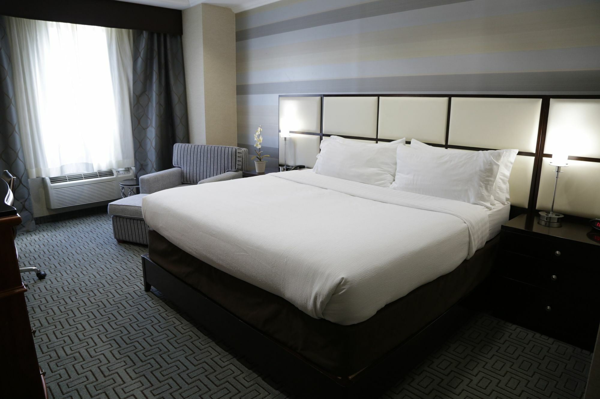 Holiday Inn Plainview-Long Island By Ihg Exterior foto